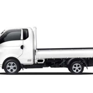 Hyundai H150 tại Nam Định